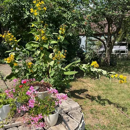 Ferieninrosengarten - Erdgeschoss Sued *