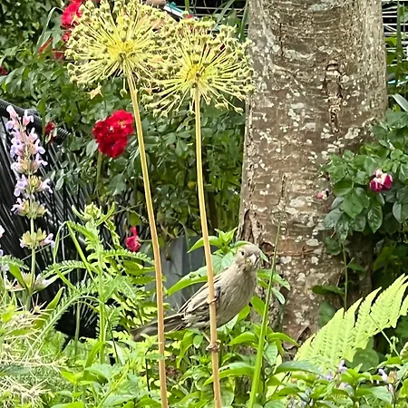 Appartamento Ferieninrosengarten - Erdgeschoss Sued *