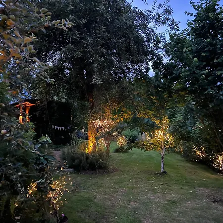 Ferieninrosengarten - Erdgeschoss Sued Rosengarten (Baden-Wurttemberg)