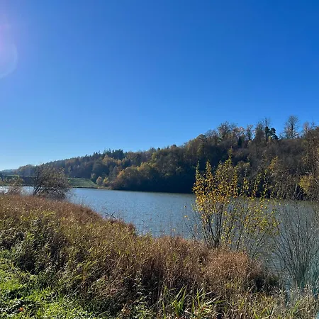 Ferieninrosengarten - Erdgeschoss Sued * Rosengarten (Baden-Wurttemberg)
