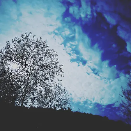 Appartamento Ferieninrosengarten - Erdgeschoss Sued