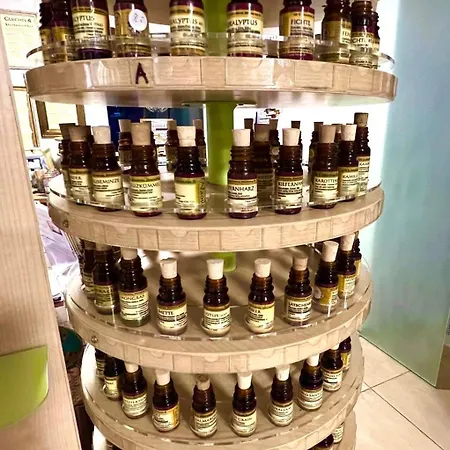 Appartamento Ferieninrosengarten - Erdgeschoss Sued Rosengarten (Baden-Wurttemberg)