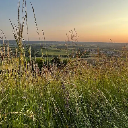 Appartamento Ferieninrosengarten - Erdgeschoss Sued Rosengarten (Baden-Wurttemberg)