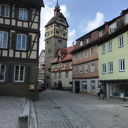 Ferieninrosengarten - Erdgeschoss Sued * Rosengarten (Baden-Wurttemberg)