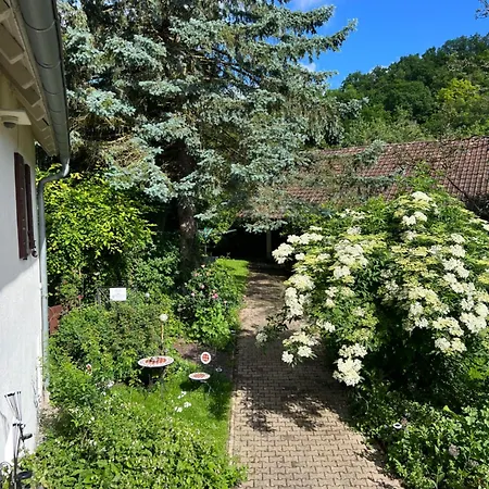 Appartamento Ferieninrosengarten - Erdgeschoss Sued