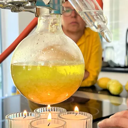 Ferieninrosengarten - Erdgeschoss Sued Rosengarten (Baden-Wurttemberg)