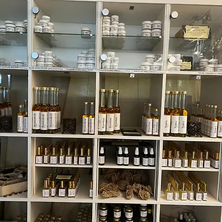 Ferieninrosengarten - Erdgeschoss Sued Appartamento