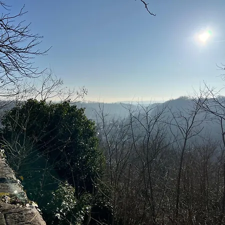 Ferieninrosengarten - Erdgeschoss Sued *