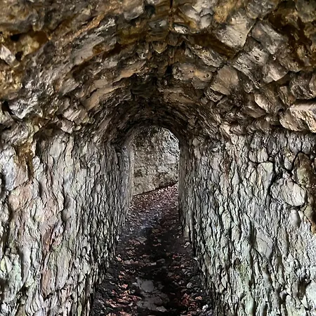 Appartamento Ferieninrosengarten - Erdgeschoss Sued *