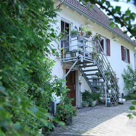 Ferieninrosengarten - Erdgeschoss Sued *