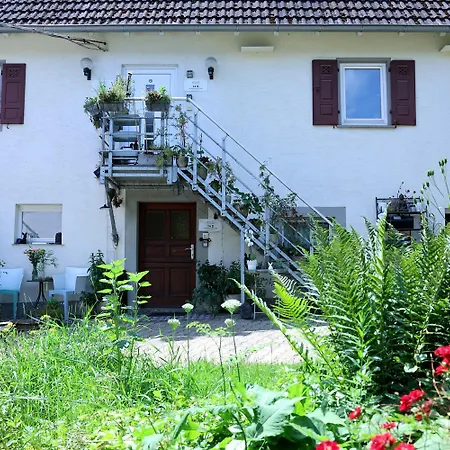 Ferieninrosengarten - Erdgeschoss Sued * Rosengarten (Baden-Wurttemberg)
