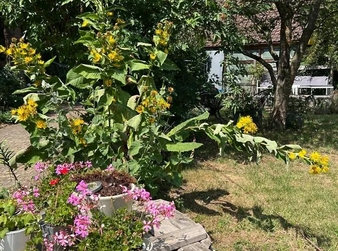 Ferieninrosengarten - Erdgeschoss Süd *