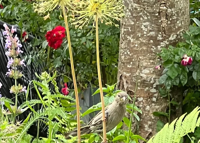 Apartamento Ferieninrosengarten - Erdgeschoss Süd *