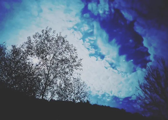 Apartamento Ferieninrosengarten - Erdgeschoss Süd