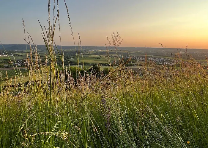 Apartamento Ferieninrosengarten - Erdgeschoss Süd Rosengarten (Baden-Wurttemberg)
