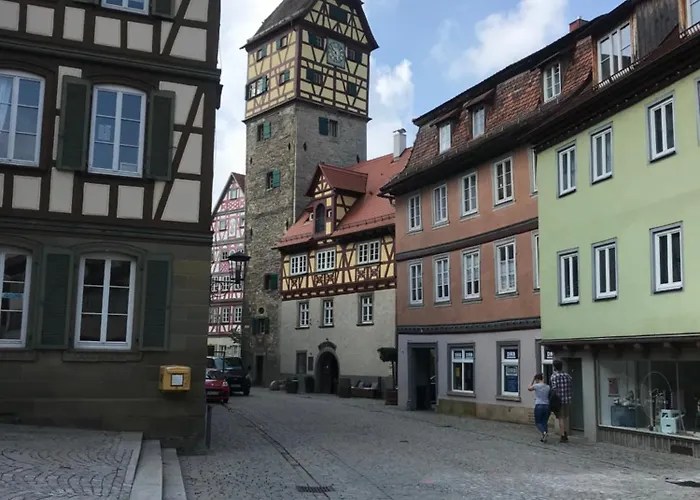Ferieninrosengarten - Erdgeschoss Süd * Rosengarten (Baden-Wurttemberg)