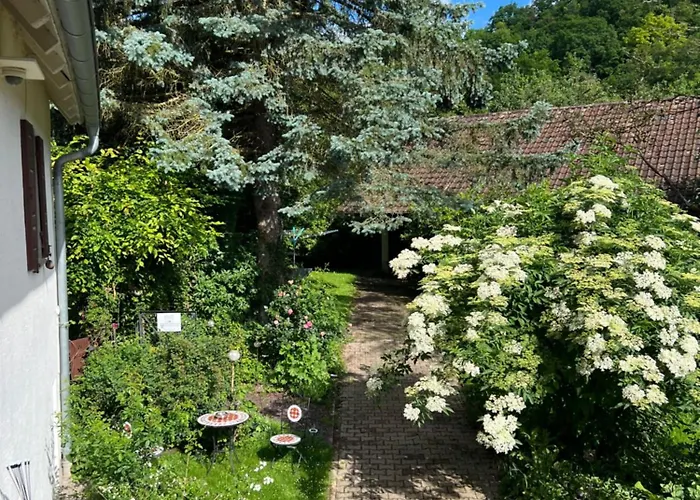 Apartamento Ferieninrosengarten - Erdgeschoss Süd