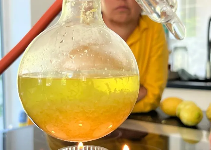 Ferieninrosengarten - Erdgeschoss Süd Rosengarten (Baden-Wurttemberg)