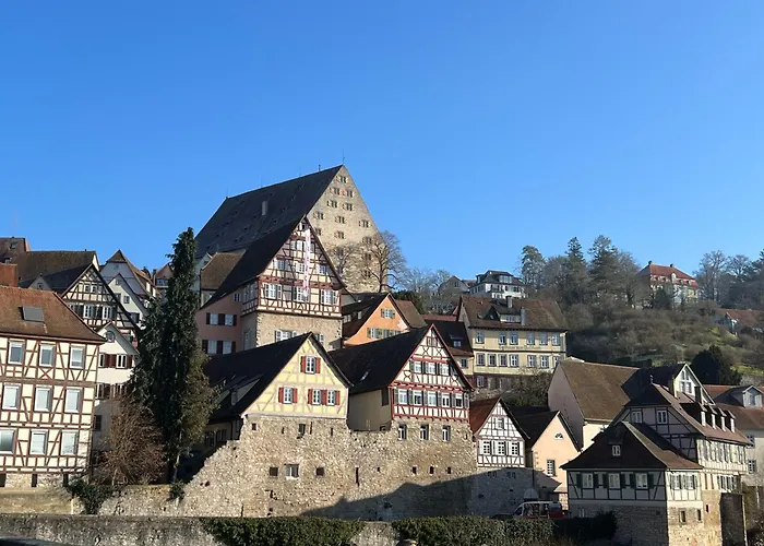 Ferieninrosengarten - Erdgeschoss Süd * Rosengarten (Baden-Wurttemberg)