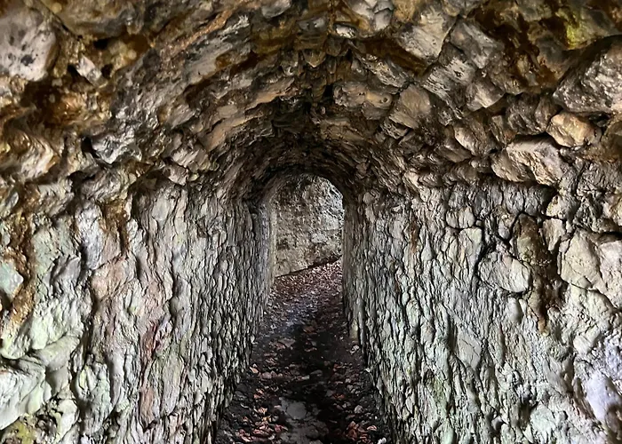 Apartamento Ferieninrosengarten - Erdgeschoss Süd *